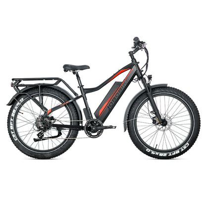 Jobobike Robin Pro E33 (EU) Electric Bike