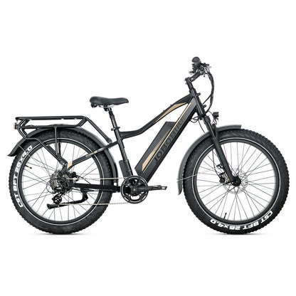 Jobobike Robin Pro E33 (EU) Electric Bike