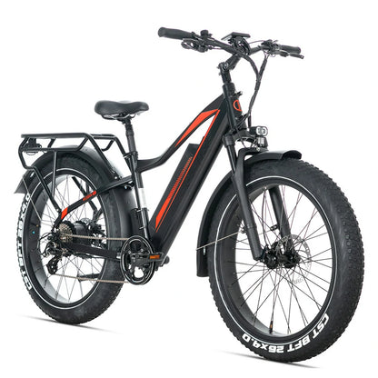 Jobobike Robin Pro E33 (EU) Electric Bike