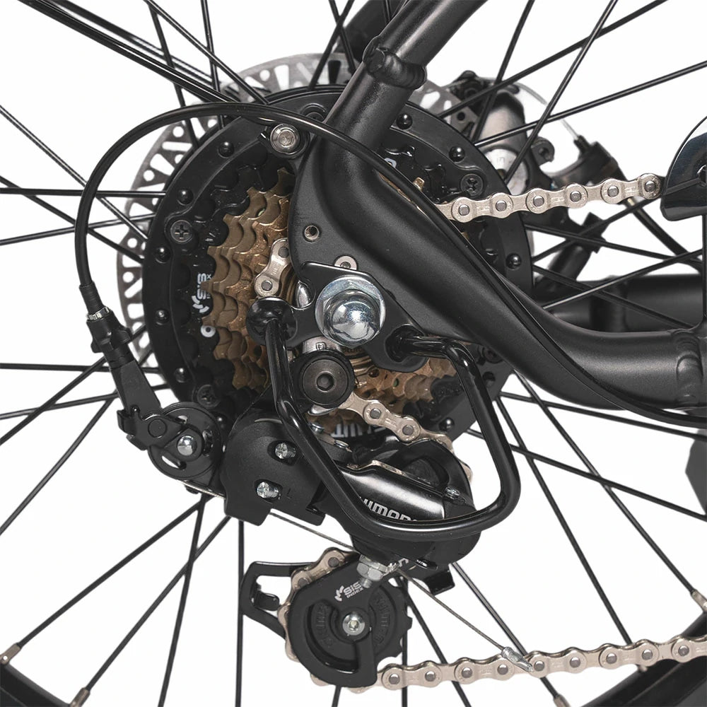 Jobobike Ace-N40 (EU) Electric Bike