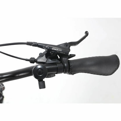 Jobobike Ace-N40 Pro (EU) Electric Bike