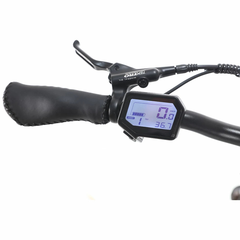 Jobobike Ace-N40 Pro (EU) Electric Bike