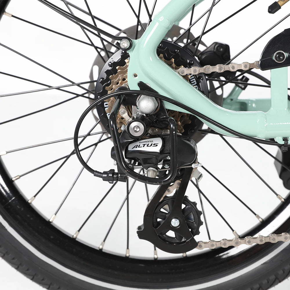Jobobike Ace-N40 Pro (EU) Electric Bike