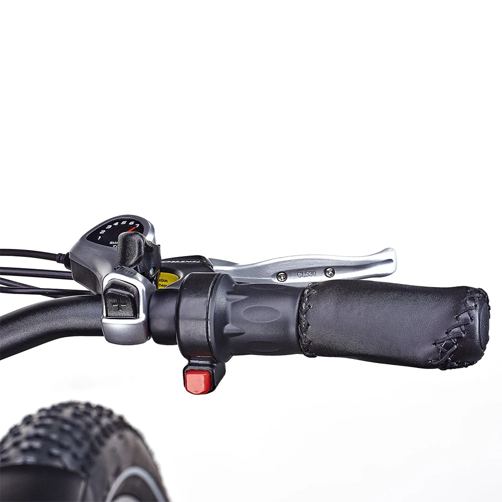 Jobobike Robin E33 (EU) Electric Bike