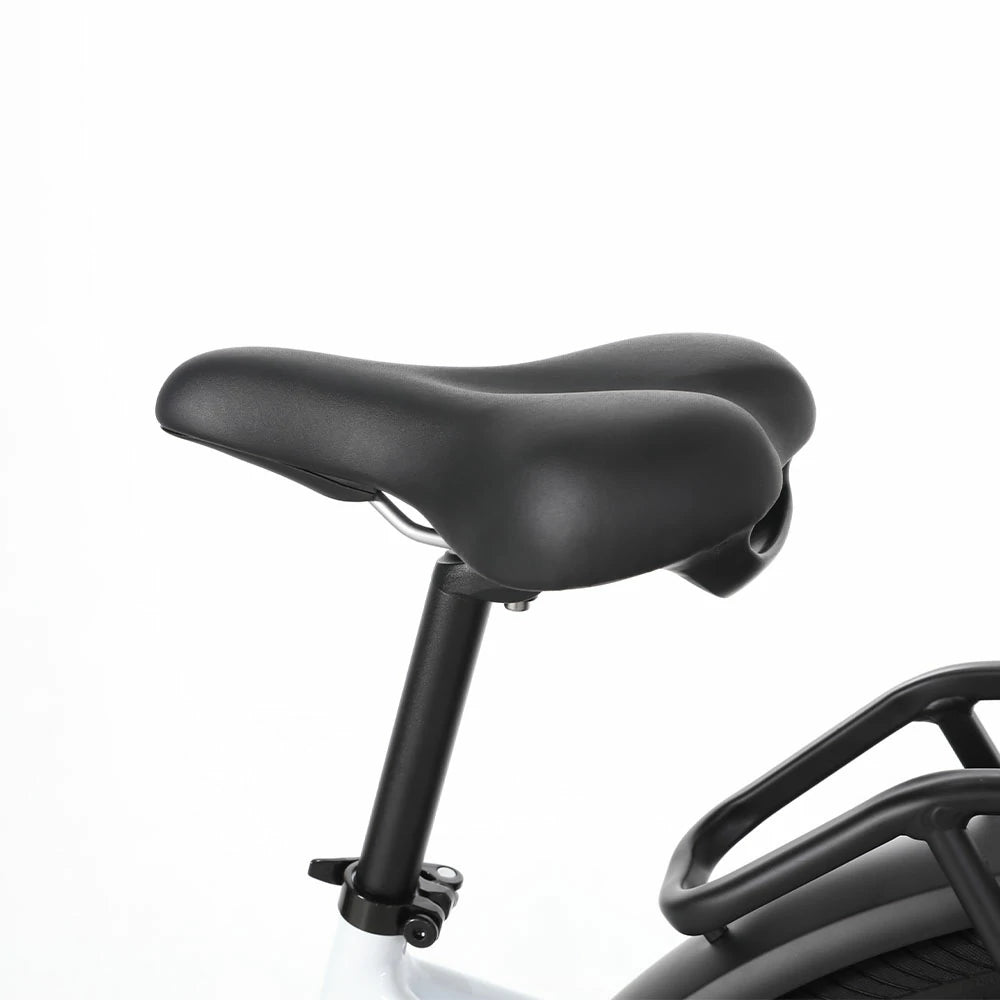 Jobobike Luxe (EU) Electric Bike