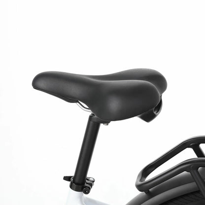 Jobobike Luxe (EU) Electric Bike