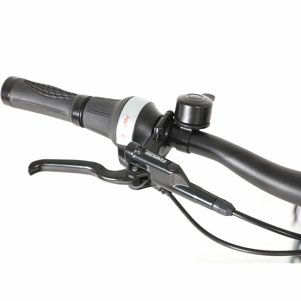 Jobobike Luxe (EU) Electric Bike