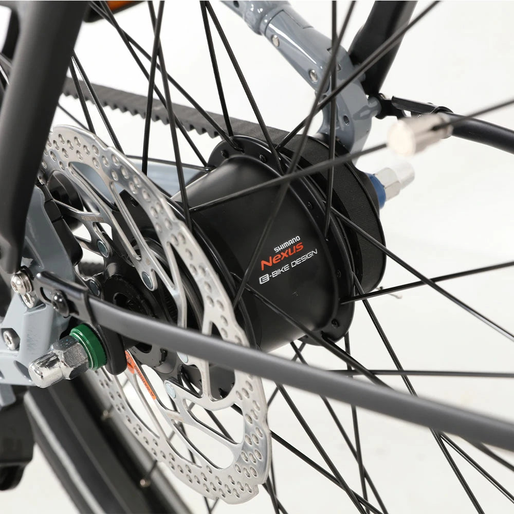 Jobobike Luxe (EU) Electric Bike