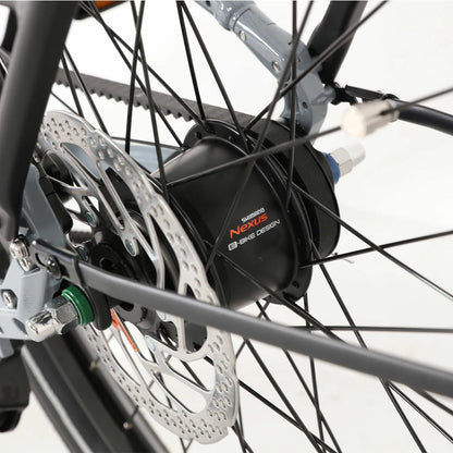 Jobobike Luxe (EU) Electric Bike