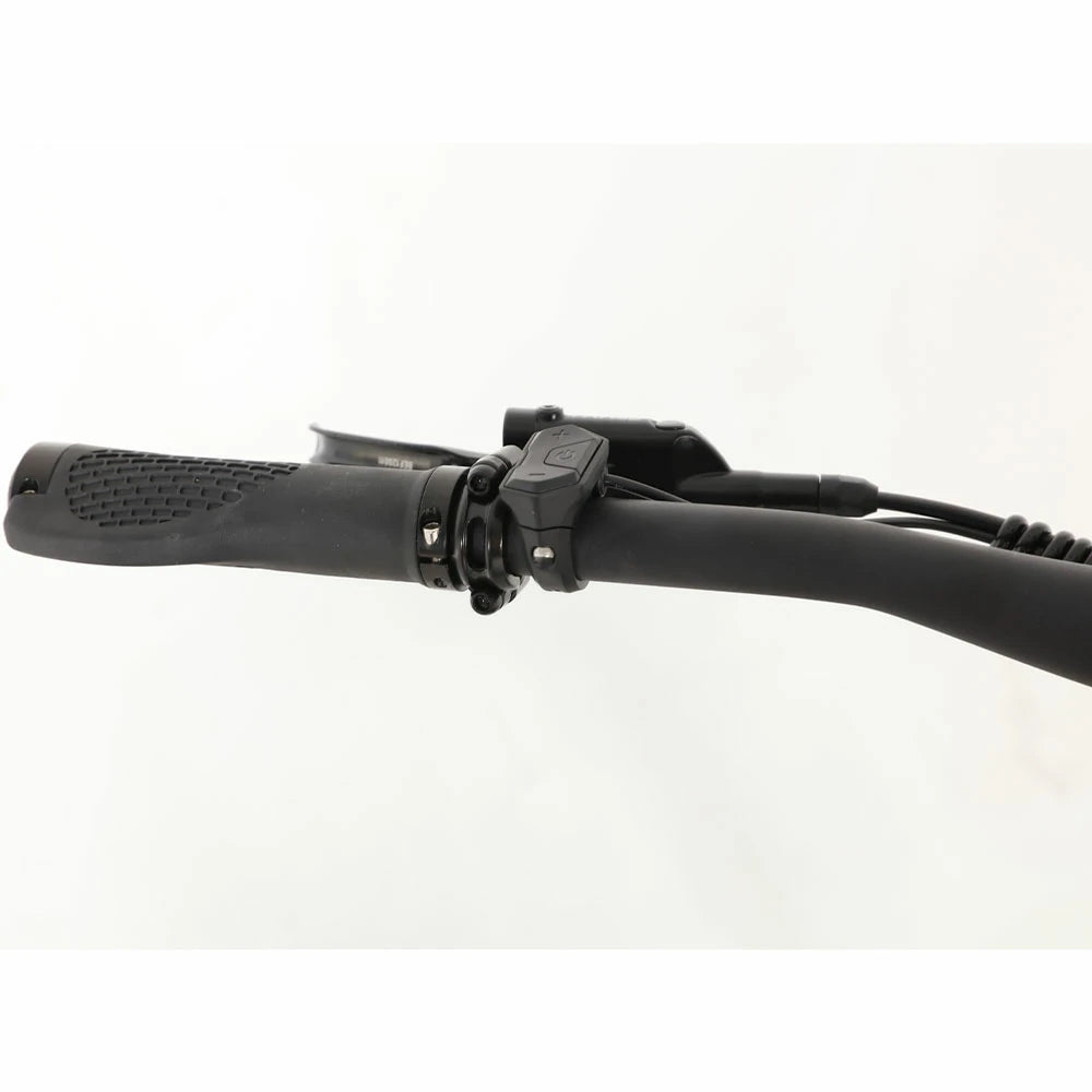 Jobobike Luxe (EU) Electric Bike