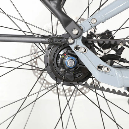 Jobobike Luxe (EU) Electric Bike