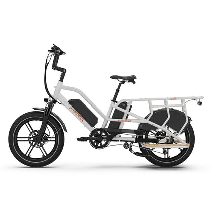 Jobobike Transer 15Ah (EU) Electric Bike