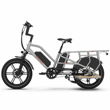 Jobobike Transer 13Ah*2 (EU) Electric Bike