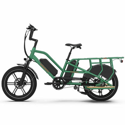 Jobobike Transer 13Ah*2 (EU) Electric Bike