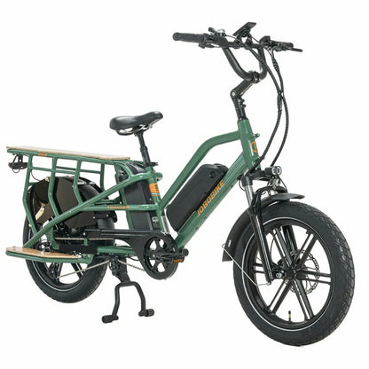 Jobobike Transer 13Ah*2 (EU) Electric Bike