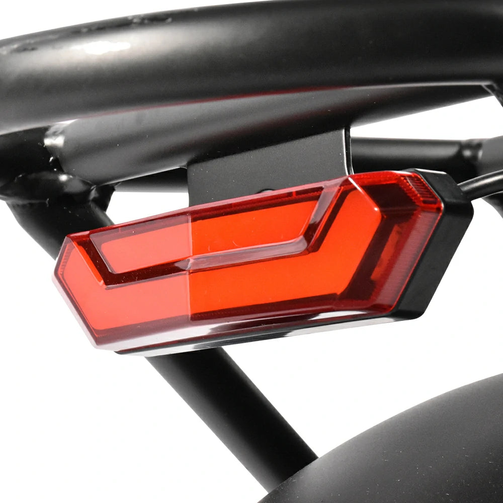 Kaisda K201 (EU) Electric Bike