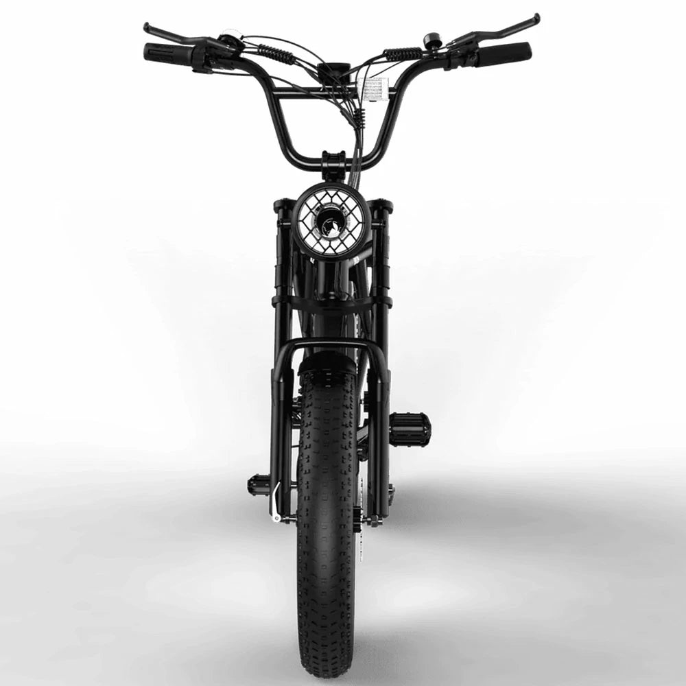 KOOLUX BK29 (EU) Electric Bike
