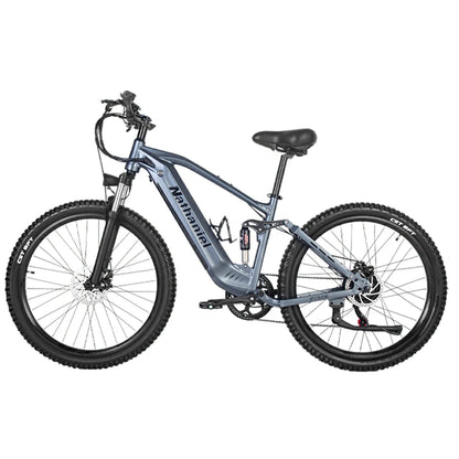 Nathaniel SYR-03 (EU) Electric Bike