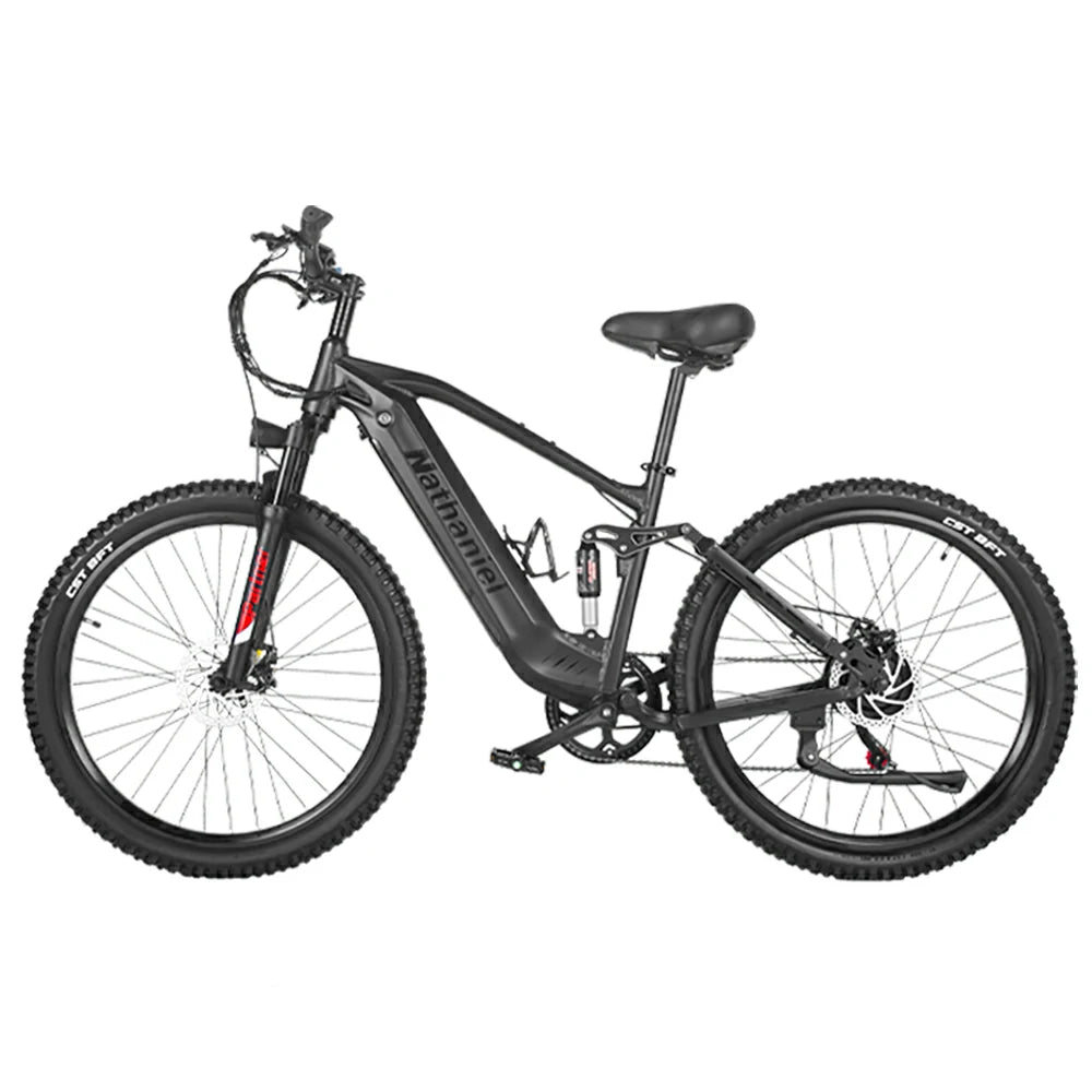 Nathaniel SYR-03 (EU) Electric Bike