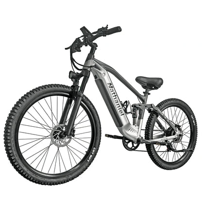 Nathaniel SYR-03 (EU) Electric Bike