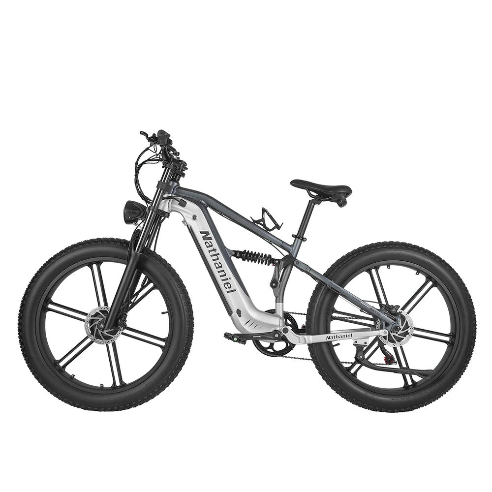 Nathaniel SYR-09 (EU) Electric Bike