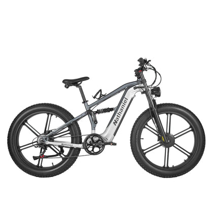 Nathaniel SYR-09 (EU) Electric Bike