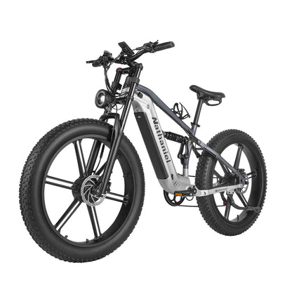 Nathaniel SYR-09 (EU) Electric Bike