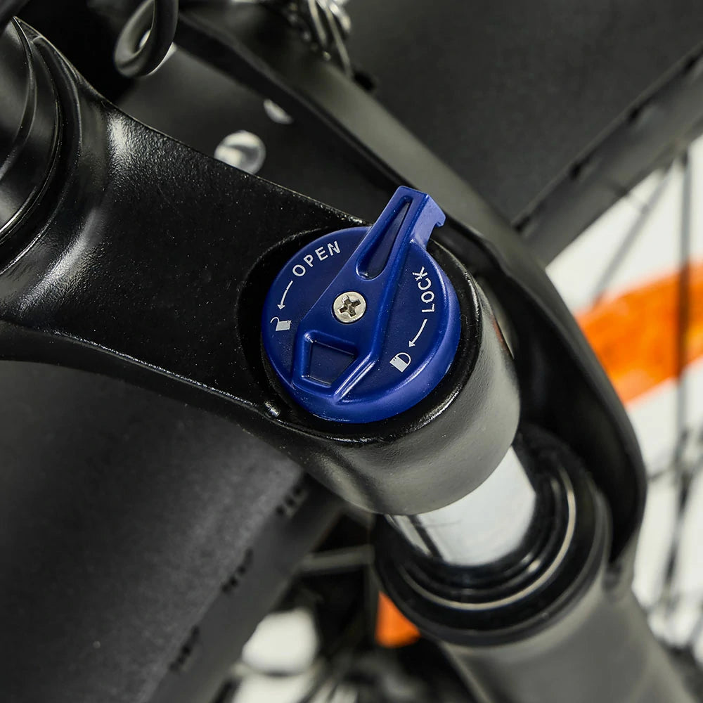 PIXAR Wind1 (EU) Electric Bike