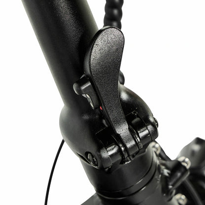 PIXAR Wind1 (EU) Electric Bike