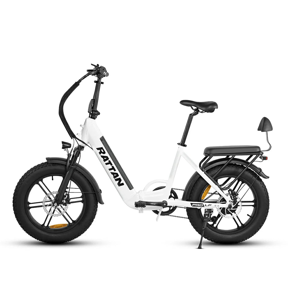 Rattan LF Pro (EU) Electric Bike