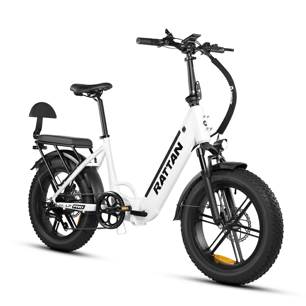 Rattan LF Pro (EU) Electric Bike