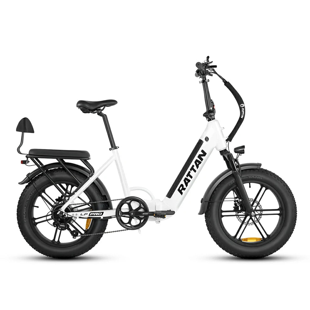 Rattan LF Pro (EU) Electric Bike