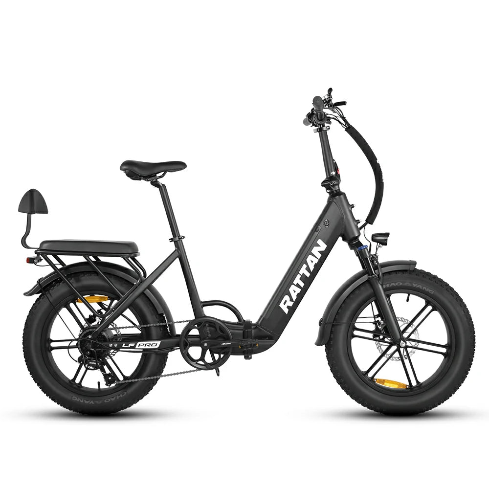 Rattan LF Pro (EU) Electric Bike
