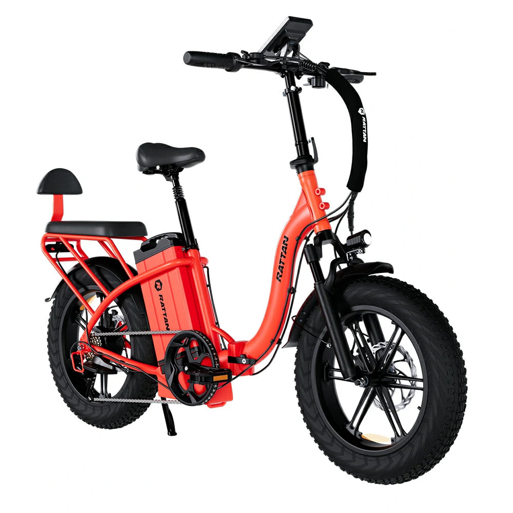 Rattan LF Ultra (EU) Electric Bike