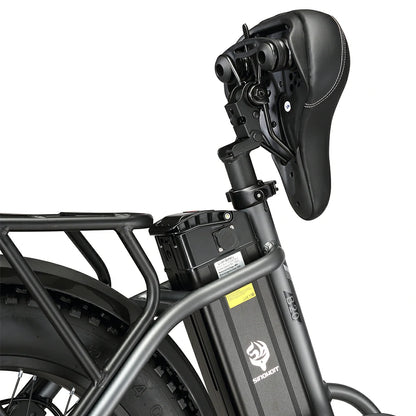 SINOHON B20 (EU) Electric Bike