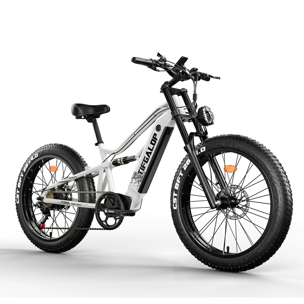 Tifgalop ES7 (EU) Electric Bike