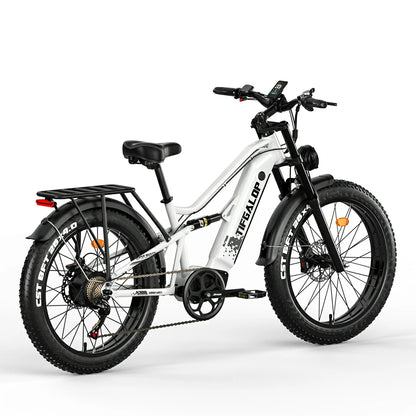 Tifgalop ES7 (EU) Electric Bike