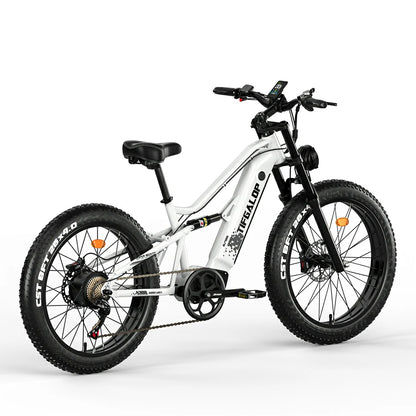 Tifgalop ES7 (EU) Electric Bike