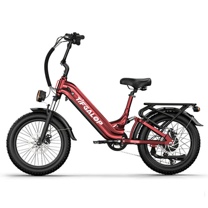 Tifgalop XC20 (EU) Electric Bike