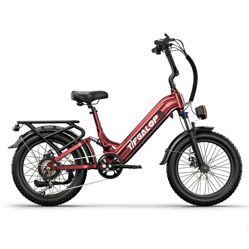 Tifgalop XC20 (EU) Electric Bike