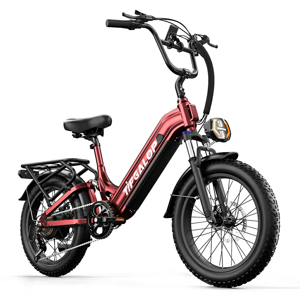 Tifgalop XC20 (EU) Electric Bike