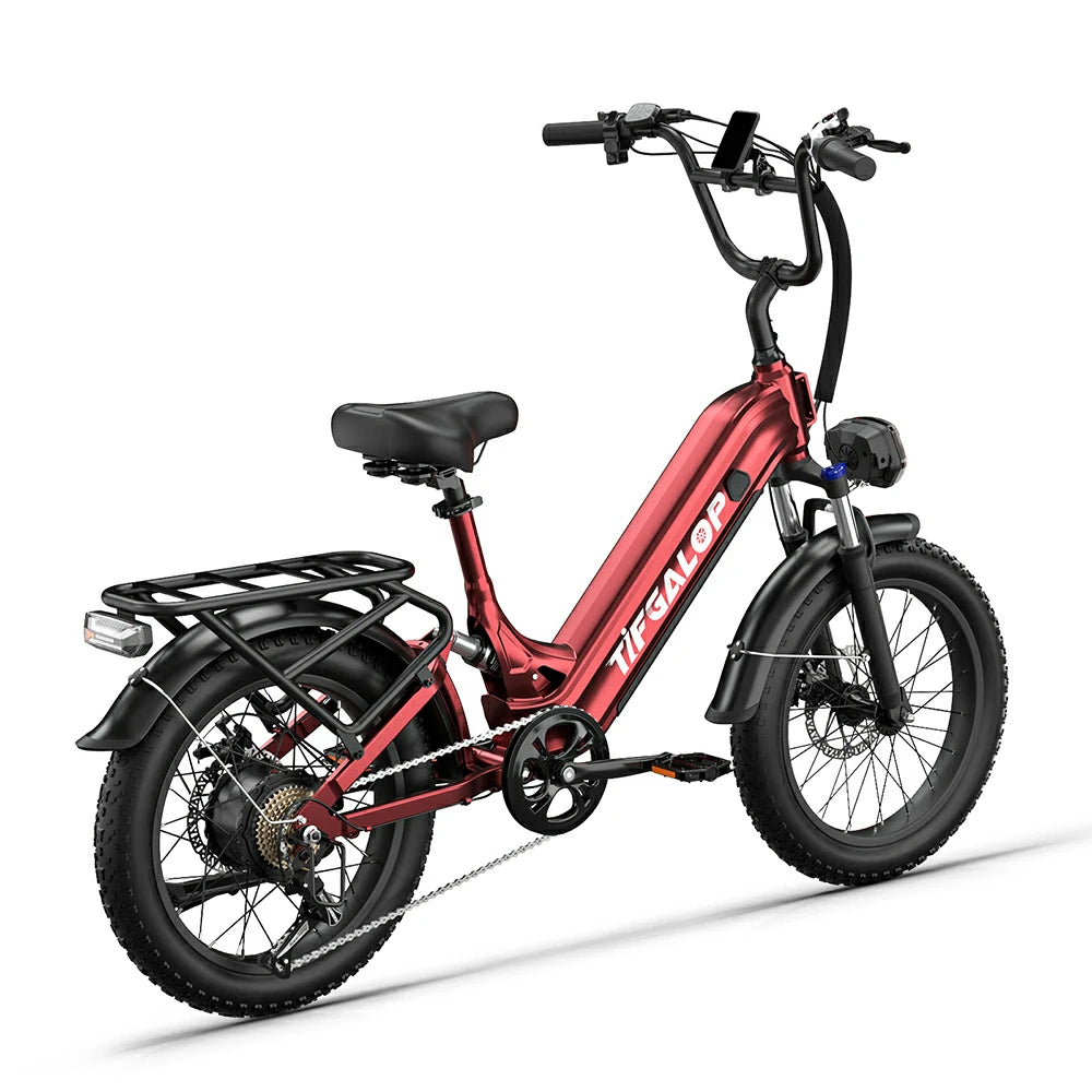 Tifgalop XC20 (EU) Electric Bike