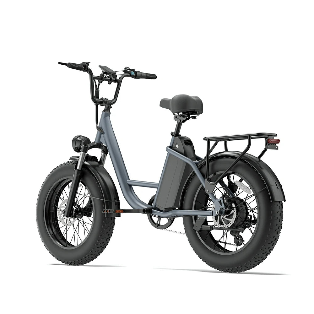 Urlife E20 Pro (EU) Electric Bike