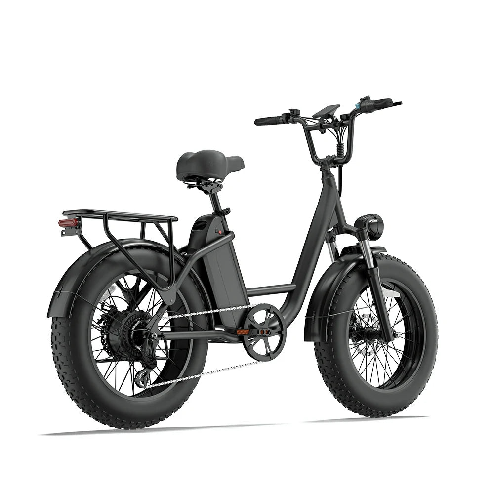 Urlife E20 Pro (EU) Electric Bike