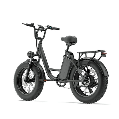 Urlife E20 Pro (EU) Electric Bike